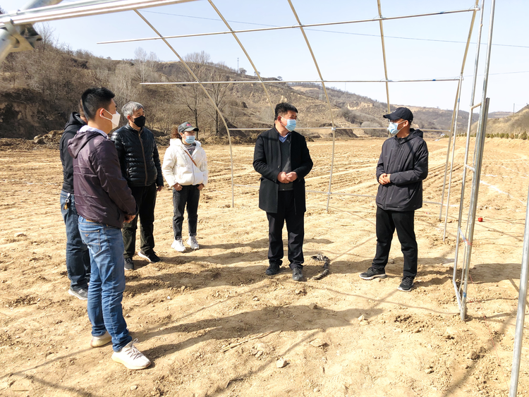 延安市河庄坪镇：“特色+科技”让精准扶贫和农村产业发展同频共进