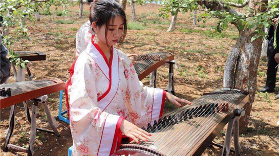 人间四月天 共赴陕西黄陵美好“花事”