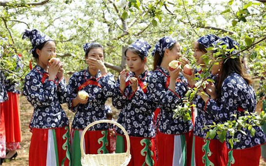 人间四月天 共赴陕西黄陵美好“花事”