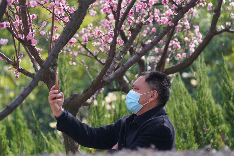 河南信阳：春到人间草木知