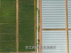 《激越怒江》第三集不负青山_fororder_QQ截图20210205113103