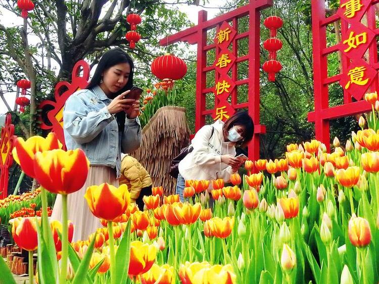 繁花似锦春意闹