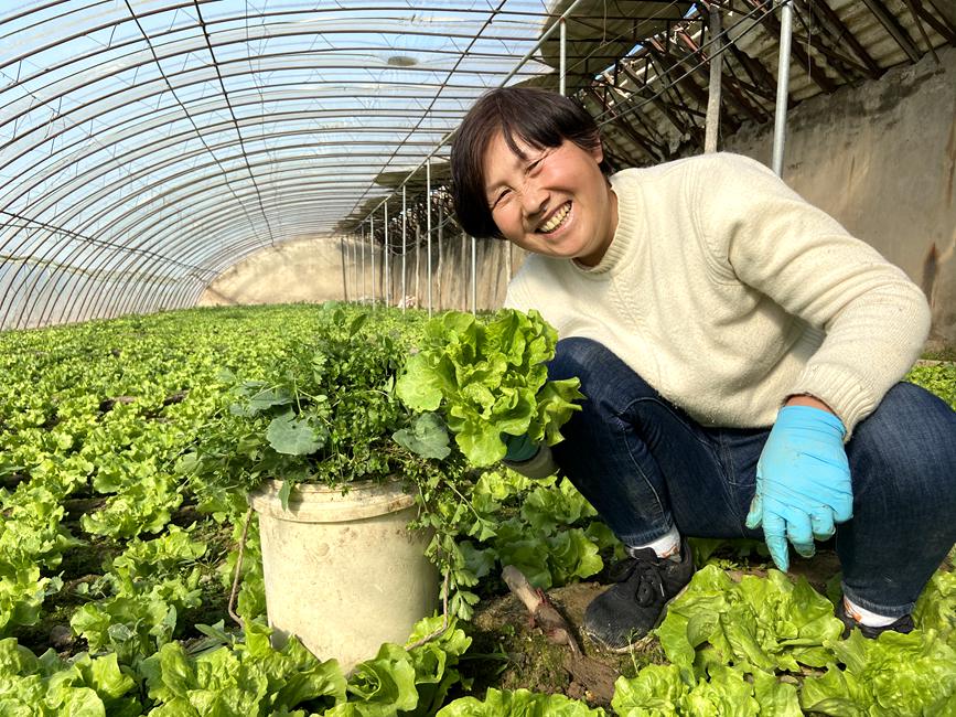 河南：中原春来早 春耕备播忙