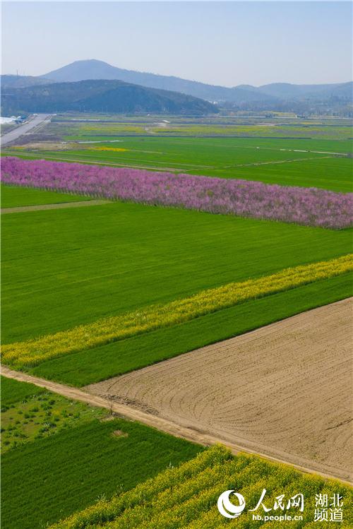 湖北襄阳：春暖大地 田园如画