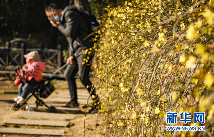 嫩绿、鹅黄、淡紫、粉红……台儿庄古城的春来了