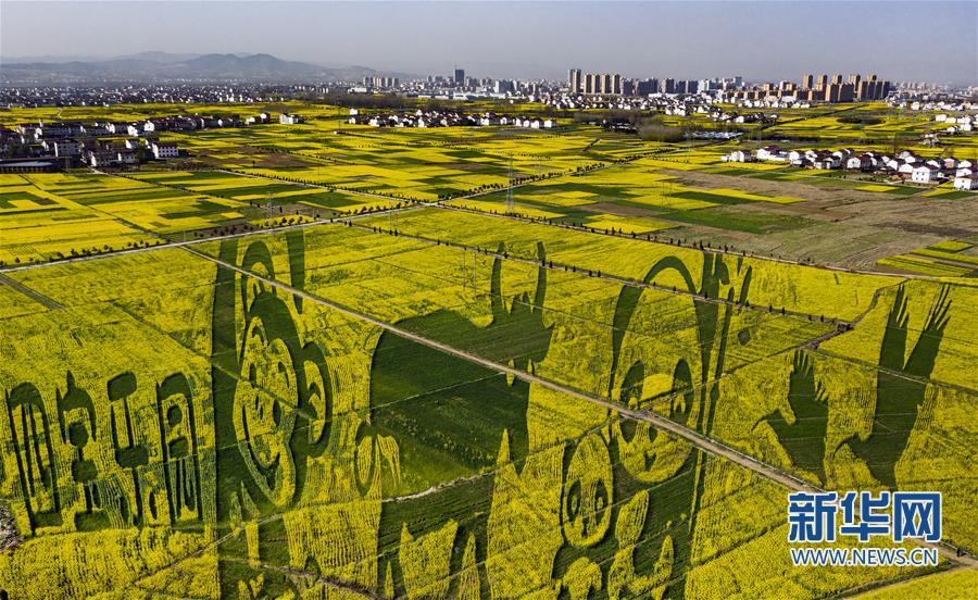 “秦岭四宝”“现身”万亩油菜花海