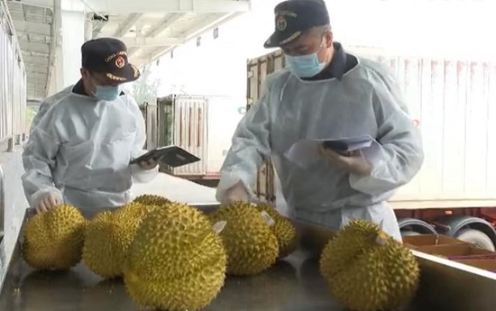 广西凭祥：节后进出口货物与旅客顺利通关