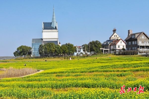 万名游客到武汉花博汇踏青赏花