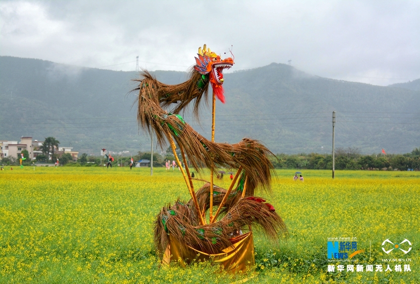 广东郁南：兰寨古村春色美