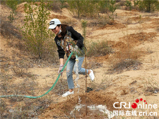 志愿者心系毛乌素  义务植树助力榆林退沙绿化