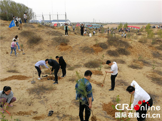 志愿者心系毛乌素  义务植树助力榆林退沙绿化