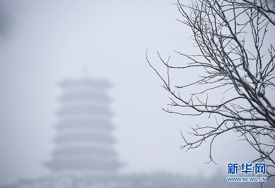 宁夏固原：雪落古雁岭