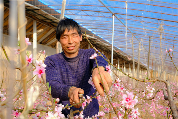 （加急 已改）【新春走基层】春暖三秦年味浓   希望的田野上印满奋斗足迹