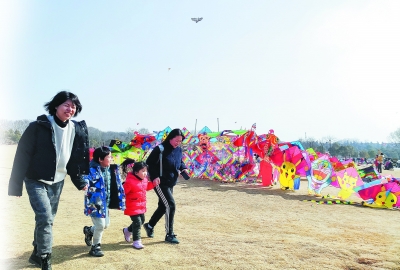 过年逛金陵 南京多个重点景区、文博场馆推“春节大餐”