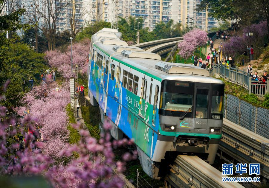 【城市远洋】重庆：一路繁花相送 带你驶向春天