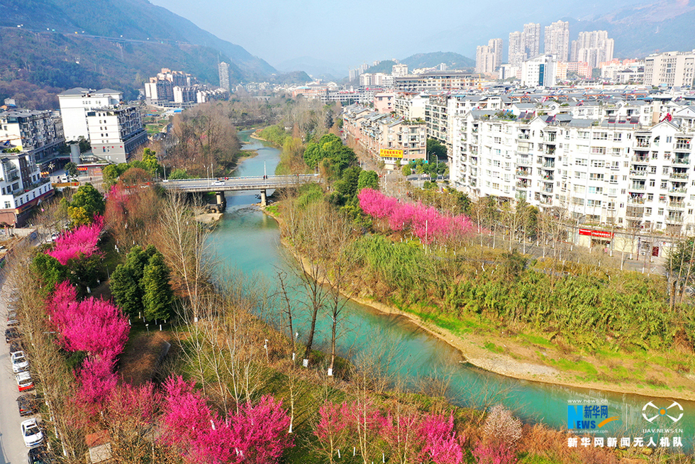 航拍重庆柏杨河：一点春一点俏 几分花香几分闲