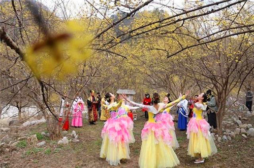 【中首  陕西】汉中佛坪“茱萸花海踏春游”活动启动