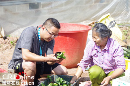 南宁一公职人员创业成“百香果种植大王”  带动家乡脱贫致富