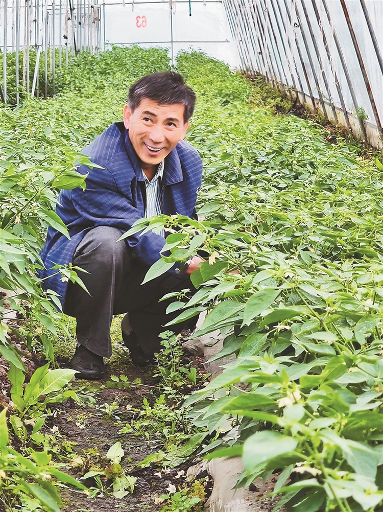 伊春人乐享幸福标配