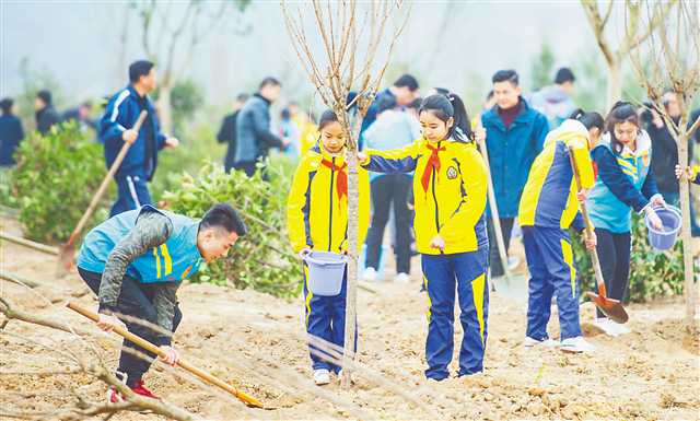 巴渝大地添绿意高招频出