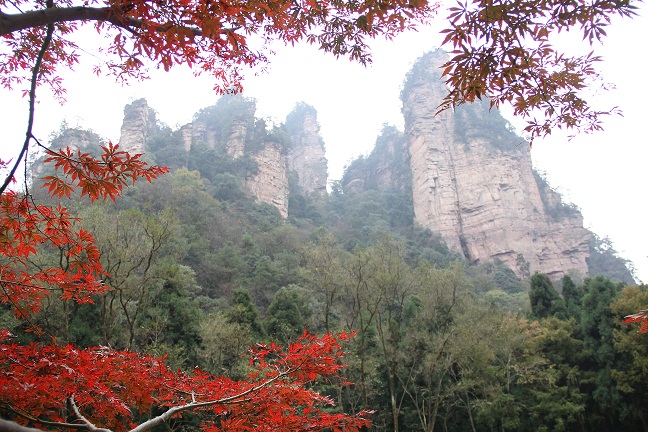 台航直飞张家界赏美景  秋冬旅游产品受欢迎