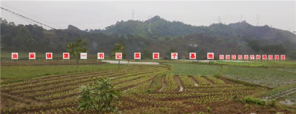 心系大山 情系安平——卢广的驻村之路