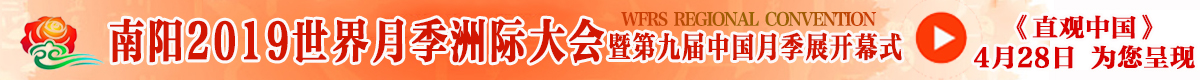 南阳2019世界月季洲际大会暨第九届中国月季展开幕式直播_fororder_ZSUfPFzE7kOAOgTeAAJhO3yEr4o930