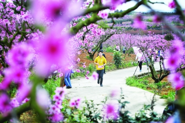 （旅游）贵阳着力做足“花”样文章