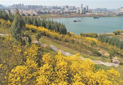 春暖花开 万物复苏