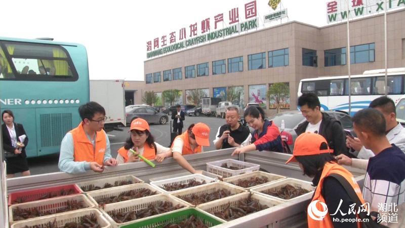 湖北潜江发布三条小龙虾主题旅游线路