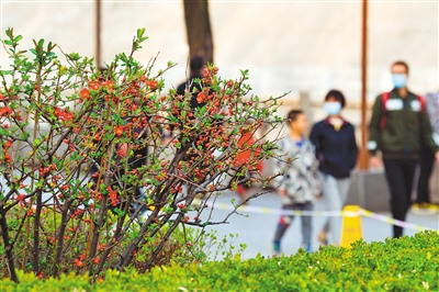 【中首 陕西 图】春天一起去赏花吧！ 西安上榜全国十大最喜爱踏青赏花游城市_fororder_res07_attpic_brief