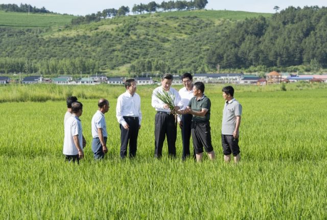 2015年，习近平总书记到过哪些地方？