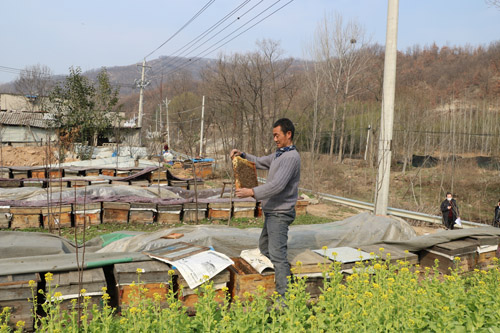 【河南供稿】平顶山鲁山县村民梁二国：靠金融贷款过上“甜蜜”生活