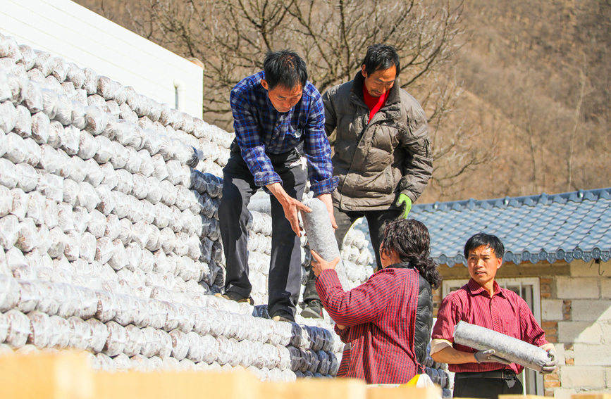 河南卢氏：人勤春早码“银山”