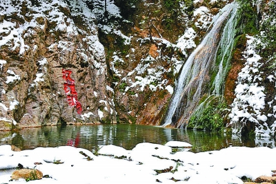 那山，那水，那宝 ——陕西汉中围绕“秦岭”“汉江”“朱鹮”践行“两山论”