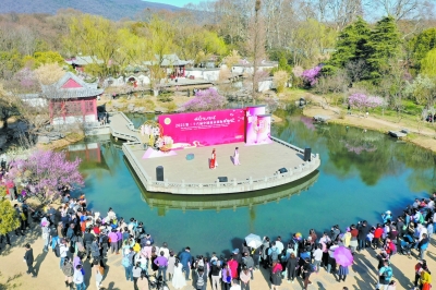 梅花节和梅花奖开启梦幻联动