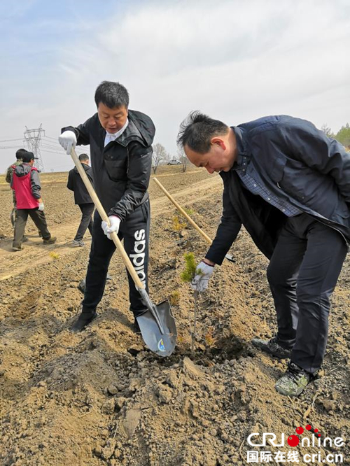 【黑龙江】【供稿】心连心开展义务植树 手牵手共建生态依兰