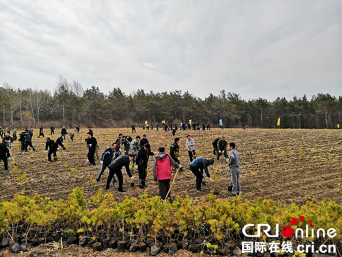 【黑龙江】【供稿】心连心开展义务植树 手牵手共建生态依兰