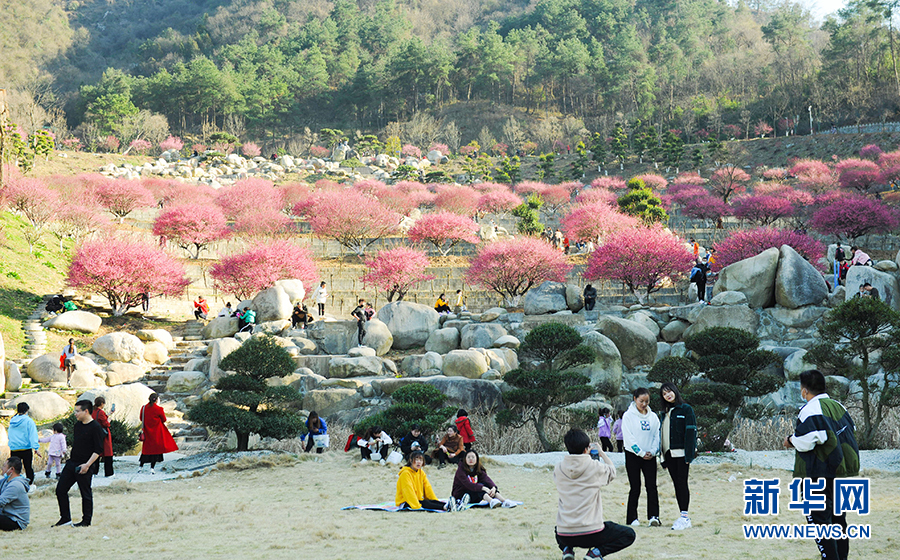 （新春走基层）建设生态植物园让马家河村走上致富路