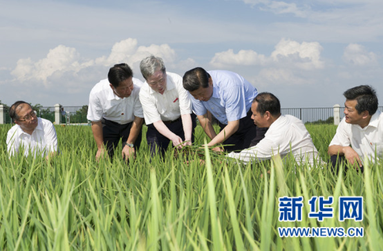 "平语"近人——习近平的"三农观"