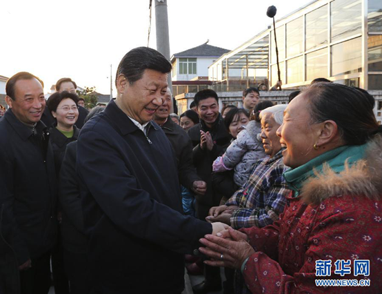 "平语"近人——习近平的"三农观"