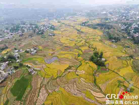 大方：开启全域旅游时代