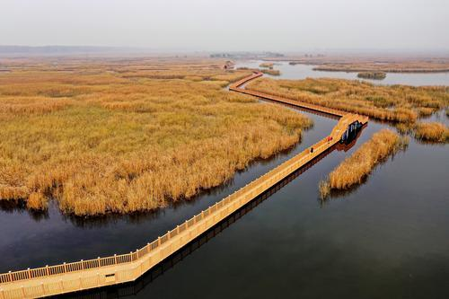 河北出台雄安新区首部地方性法规