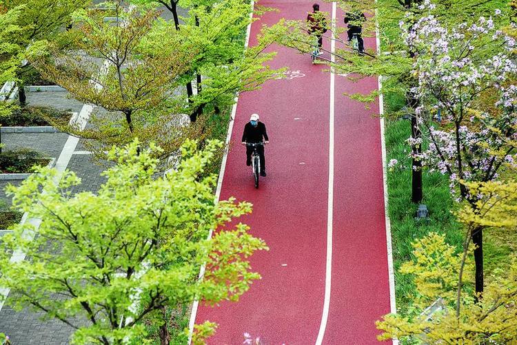 南宁人的“运动细胞”又跳跃起来