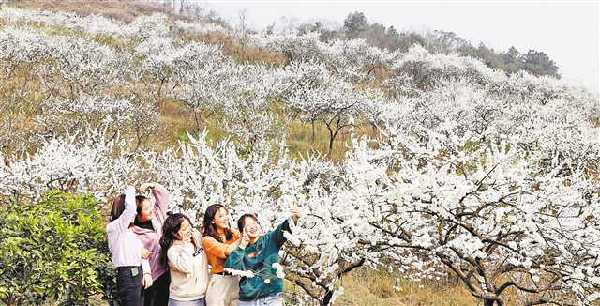 【城市远洋带图】赏花 一定不要错过这些地方