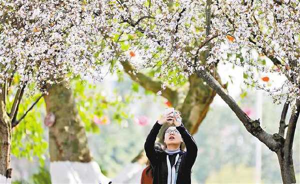 【城市远洋带图】赏花 一定不要错过这些地方