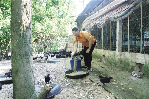 一心扑在产业上　用心用情扶贫传佳话