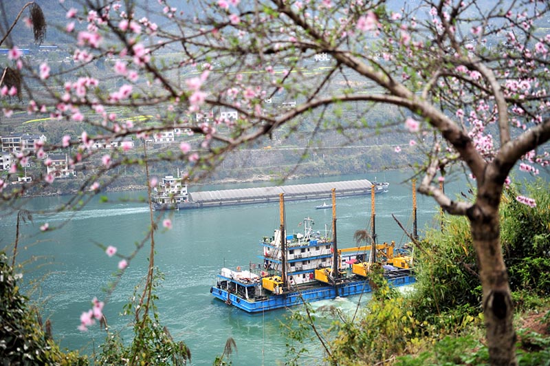 湖北宜昌：长江西陵峡 春景如画廊