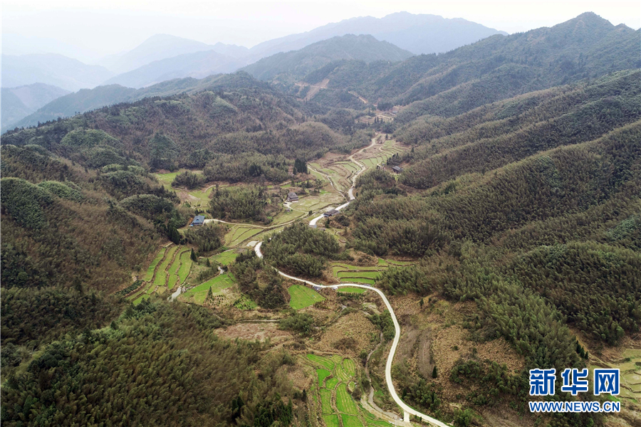 高山特产助农增收