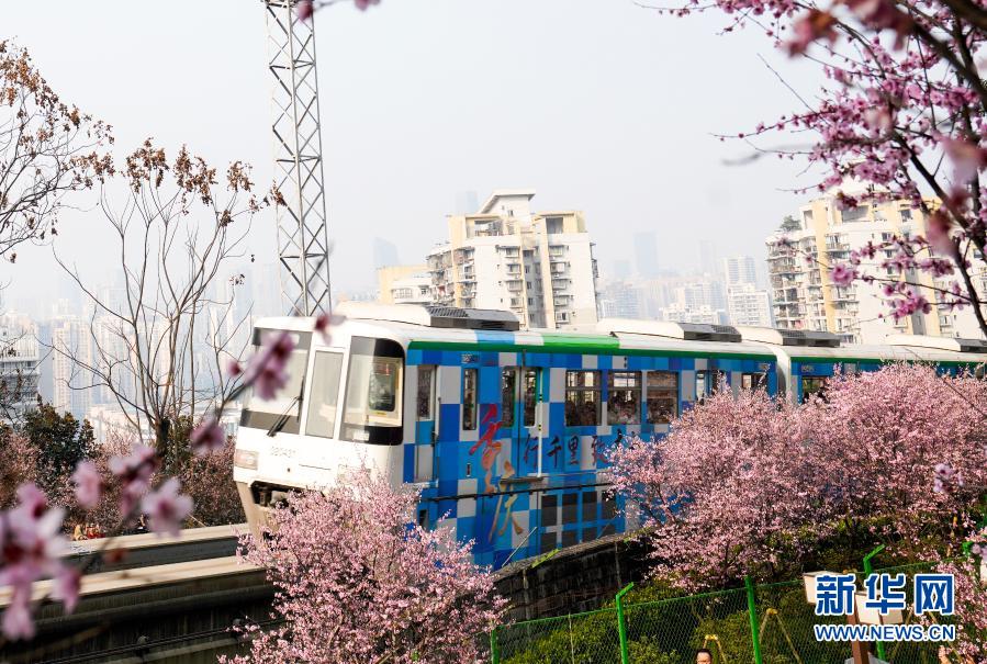 【城市远洋】重庆：一路繁花相送 带你驶向春天